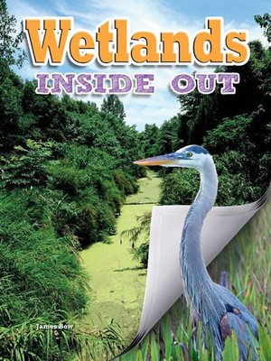 cover image of Wetlands Inside Out